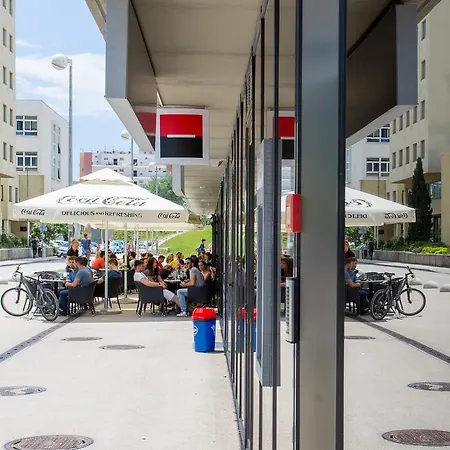 Kampus